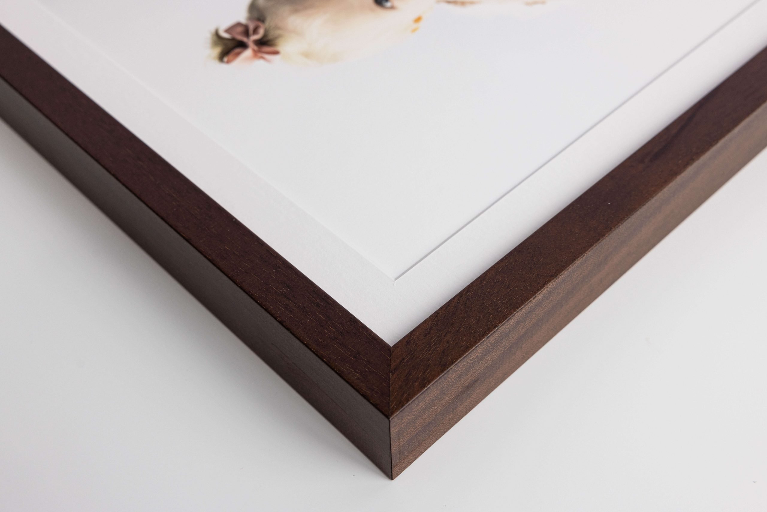 20mm Deep Chocolate Frame white mat