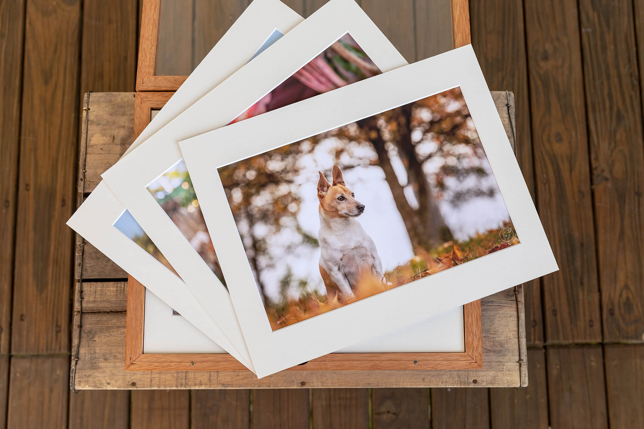 Artisan Box - Prints