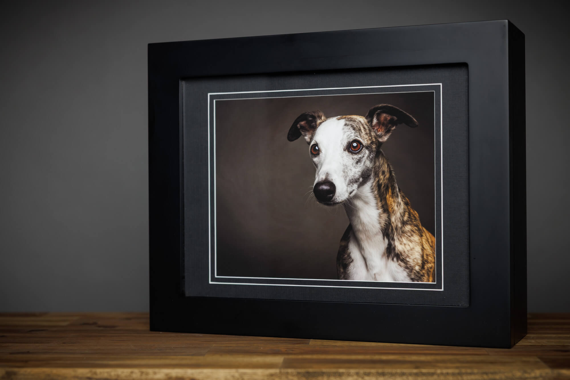 A handcrafted Artisan portrait box featuring a fine art Whippet portrait by Jo Lyons Photography on the Barrington Coast, NSW.