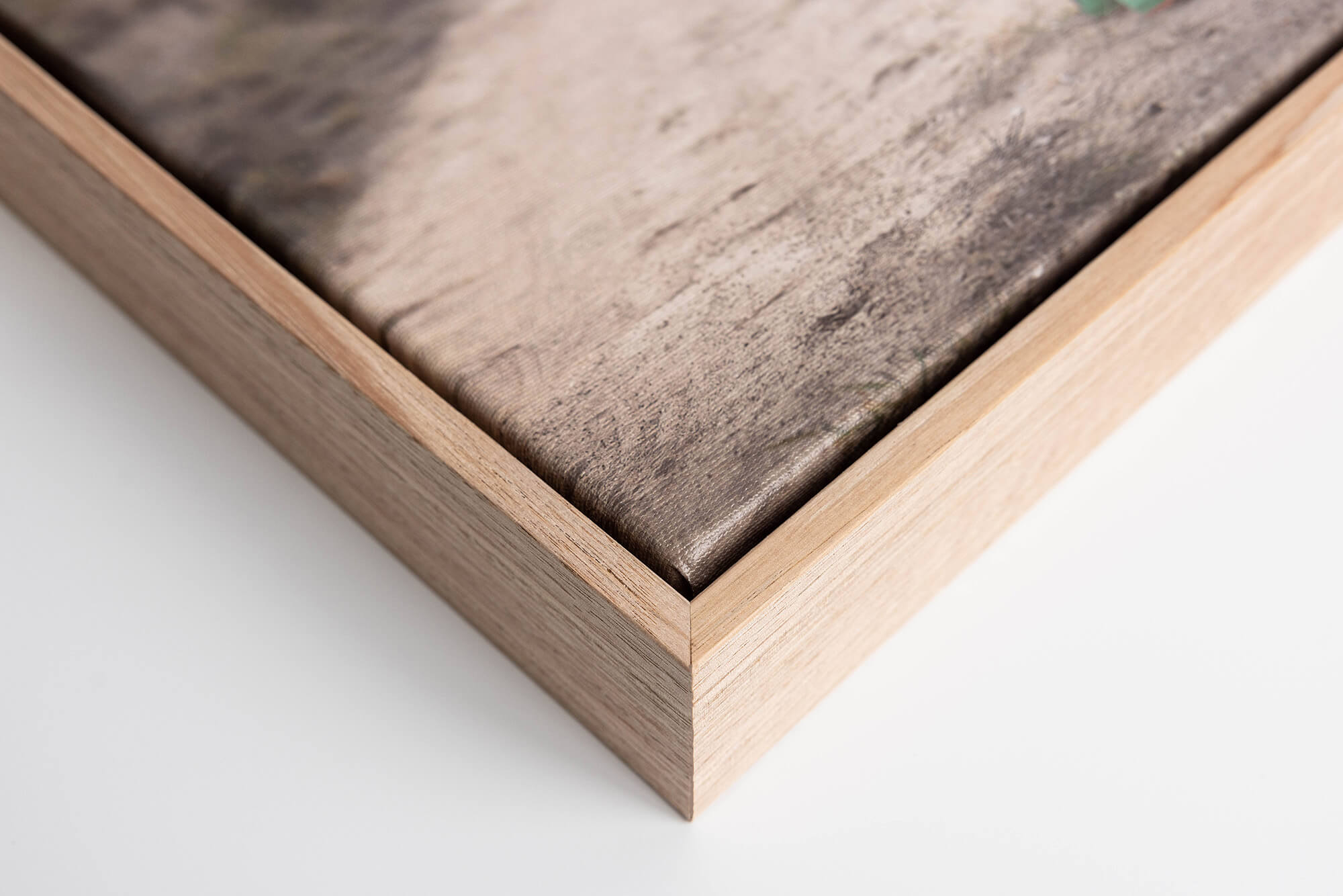 Ash Box framed Canvas