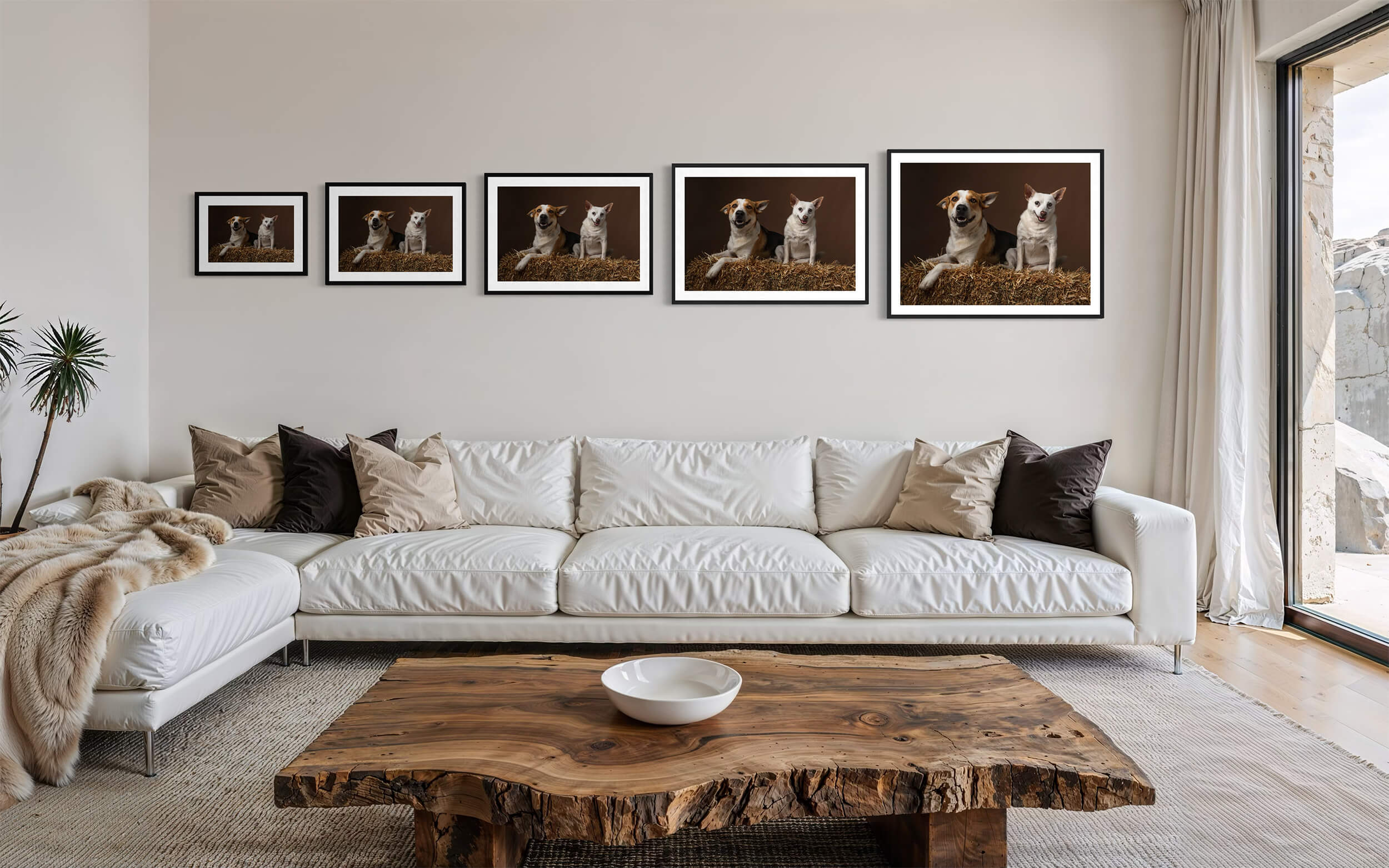 Framed Fine Art Size Comparison
