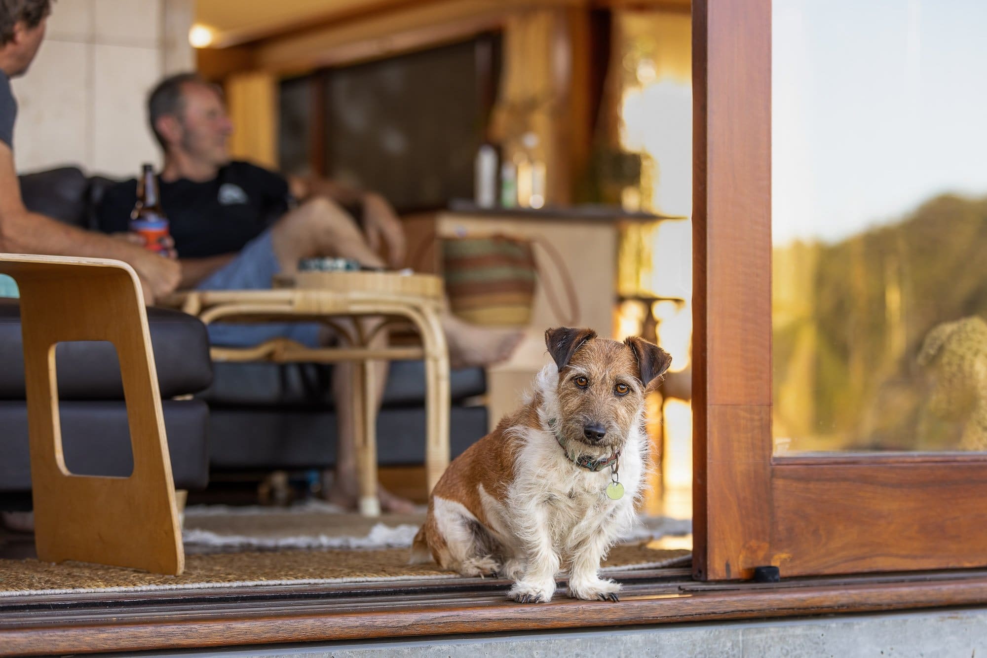 Dog Friendly Accommodation