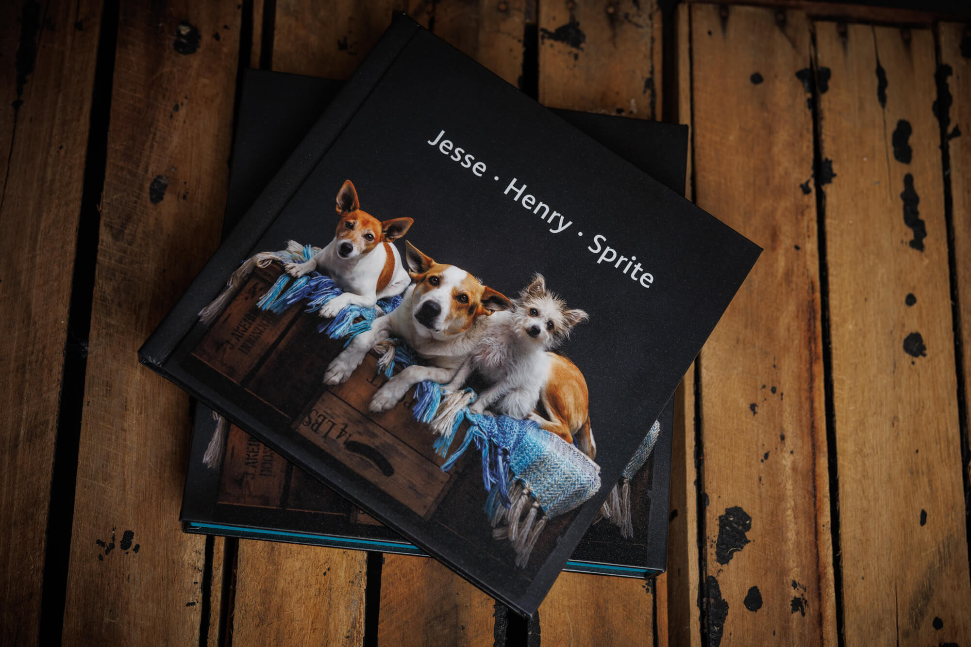 Two stacked fine art dog portrait albums featuring studio portraits by Jo Lyons Photography on the Barrington Coast.