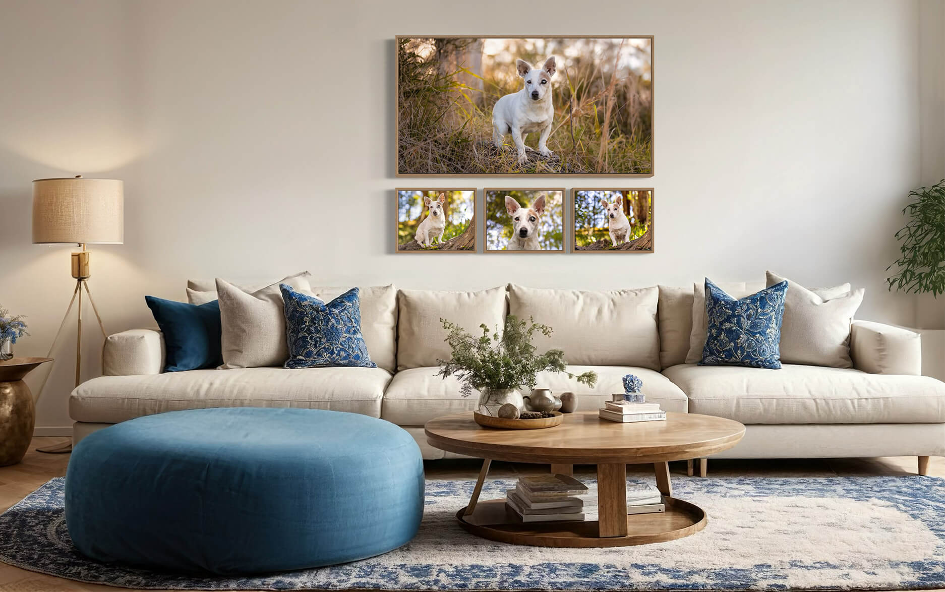 The Everlasting Daisy Collection