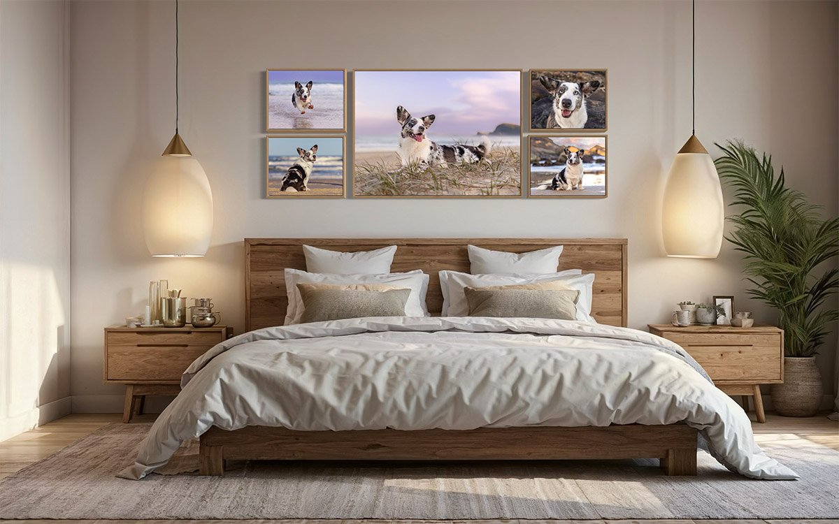 The High Five Collection