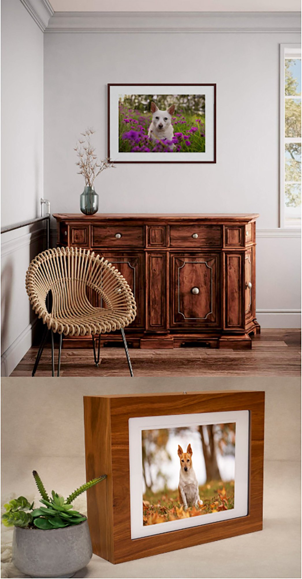The Storyteller Collection
