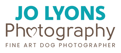 Jo Lyons Photography brand logo website