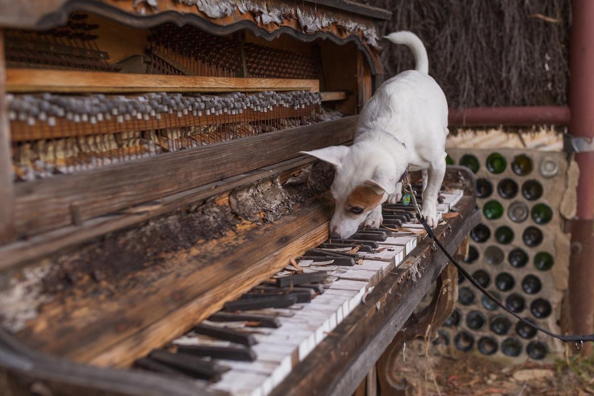 Daisy exploring her musical aspirations at Bimblegumbie